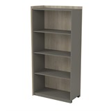 15ШД-Н.189 Модуль шкафа, НАЧАЛЬНЫЙ (884*460*1828) 15ШД-Н.189 - фото 260243