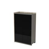 15ШДС-Н.149 Модуль шкафа, со стеклом, НАЧАЛЬНЫЙ (884*460*1400) 15ШДС-Н.149 - фото 260286