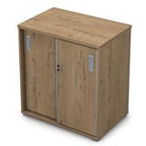 9ШКЗ.001 Шкаф-купе (700*450*750) 9ШКЗ.001 - фото 268581 9ШКЗ.001 Шкаф-купе (700*450*750) 9ШКЗ.001 - фото 268581